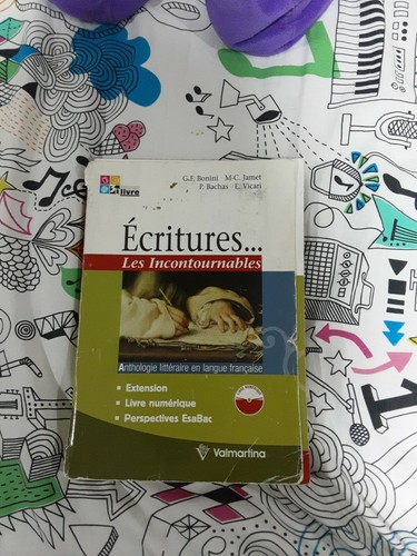 Ecritures les incontournables - ecritures,